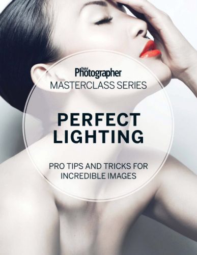 Digital Photographer - Perfect Lighting (EPUB)
