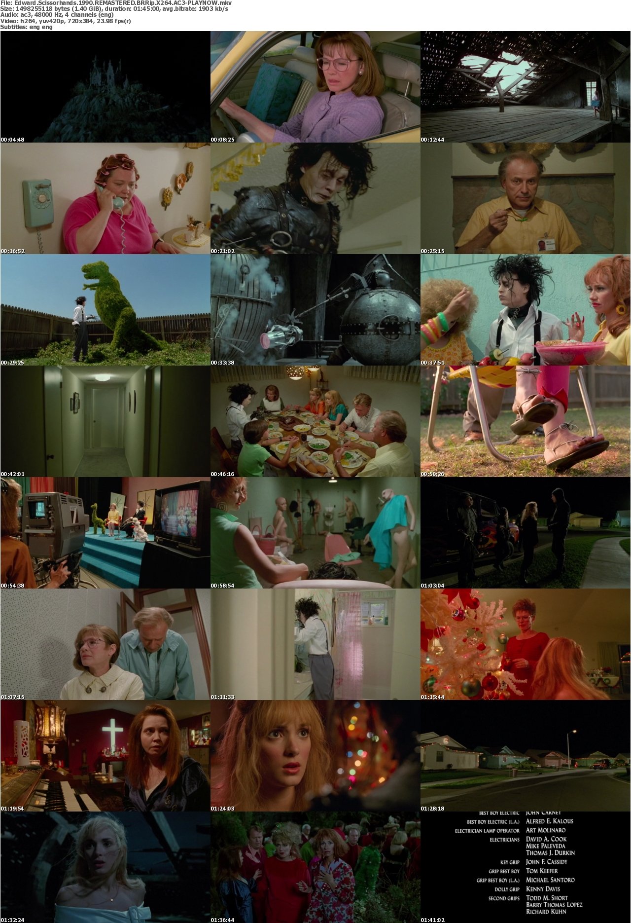 Edward Scissorhands 1990 REMASTERED BRRip X264 AC3-PLAYNOW