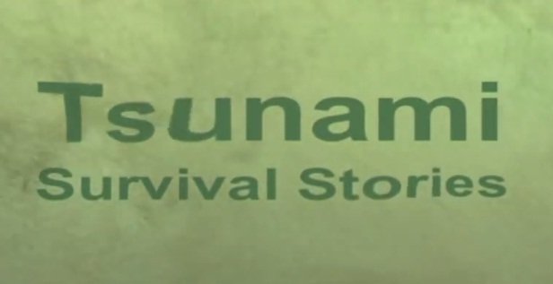 ITV - Tsunami: Survivors' Stories (2014) 720p HDTV x264-BARGE
