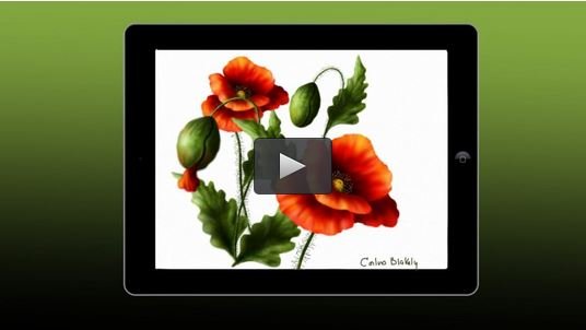 Udemy - iPad Painting With ArtStudio