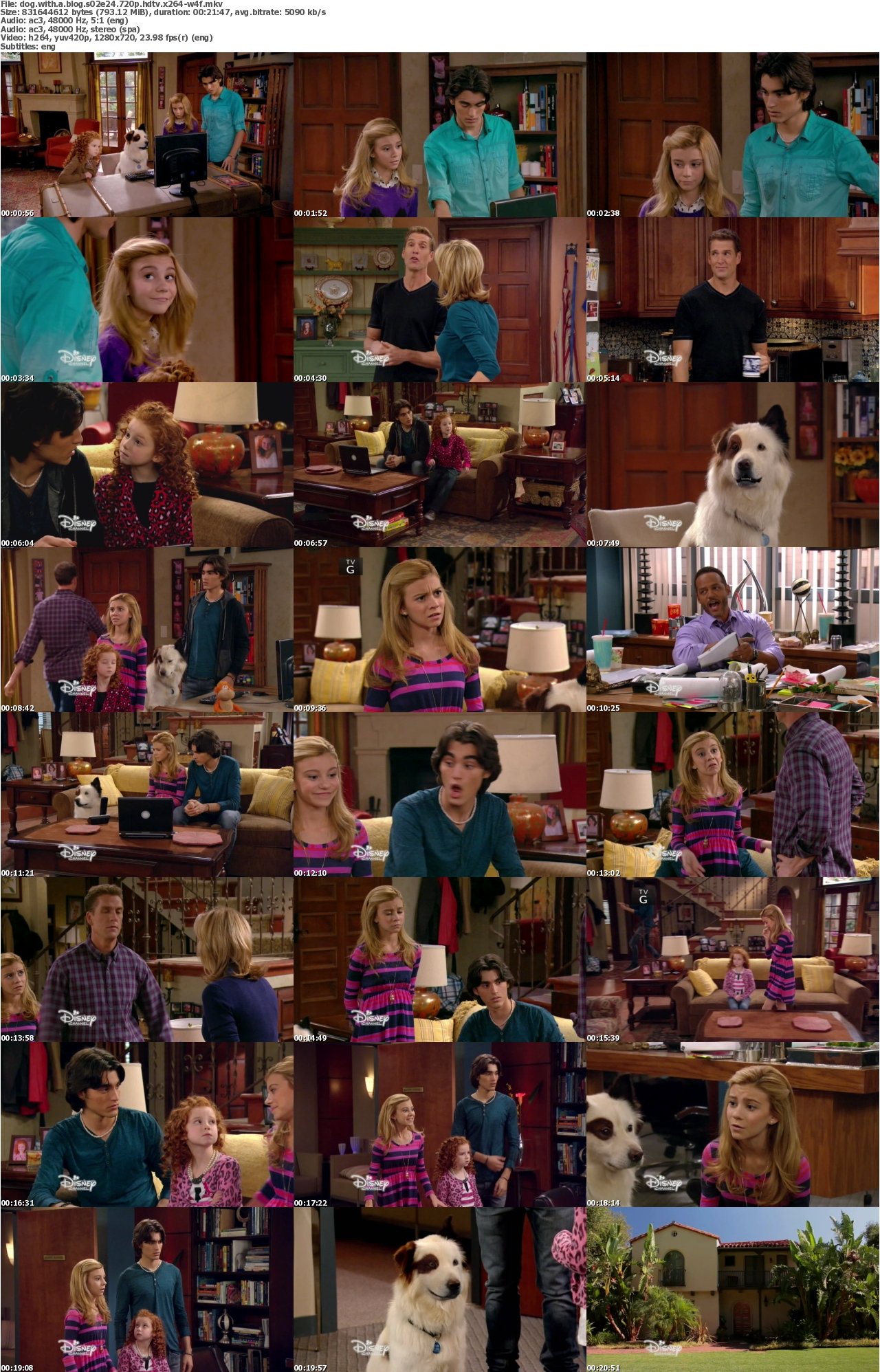 Dog With a Blog S02E24 720p HDTV x264-W4F