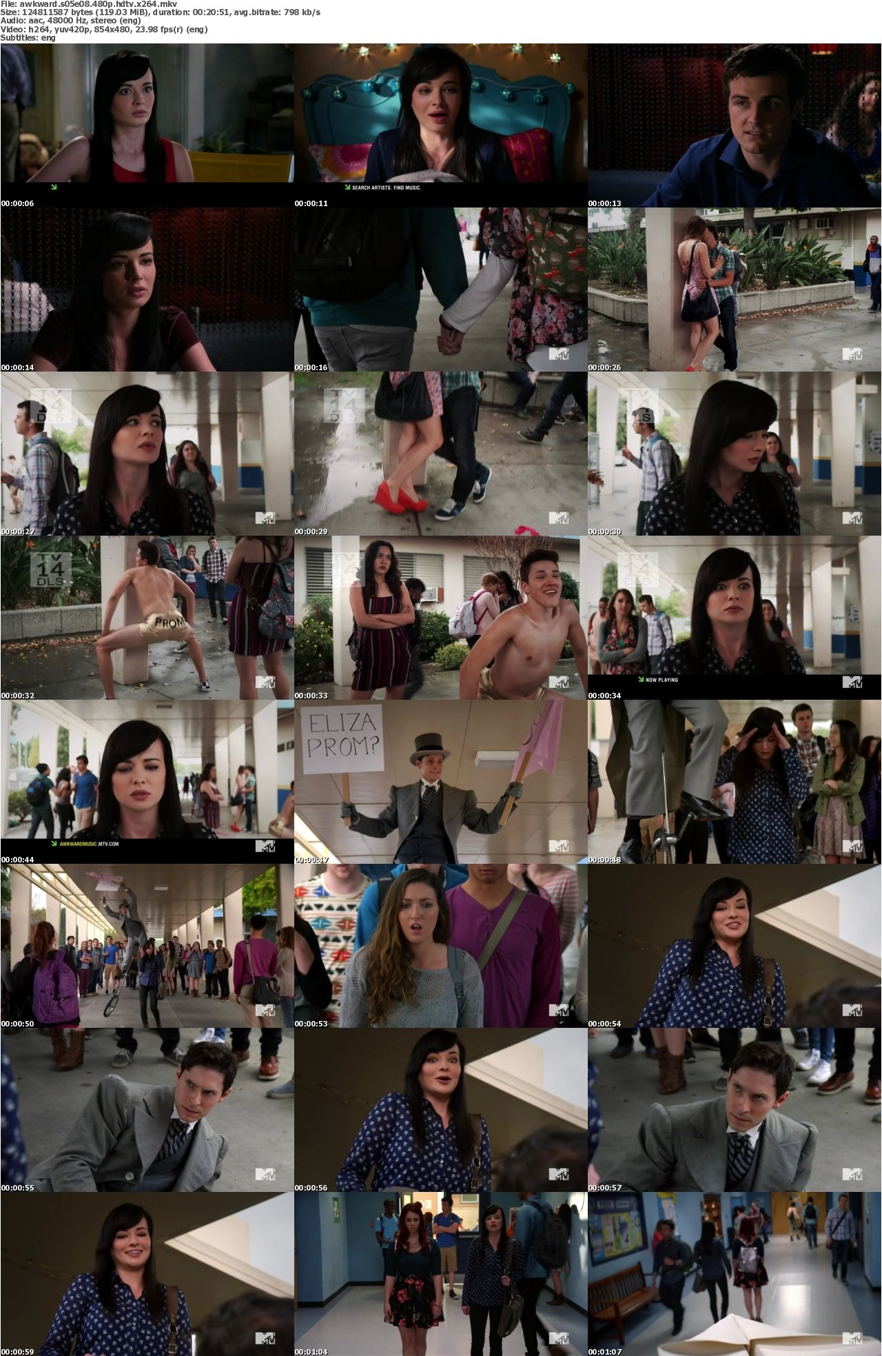 Awkward S05E08 480p HDTV x264