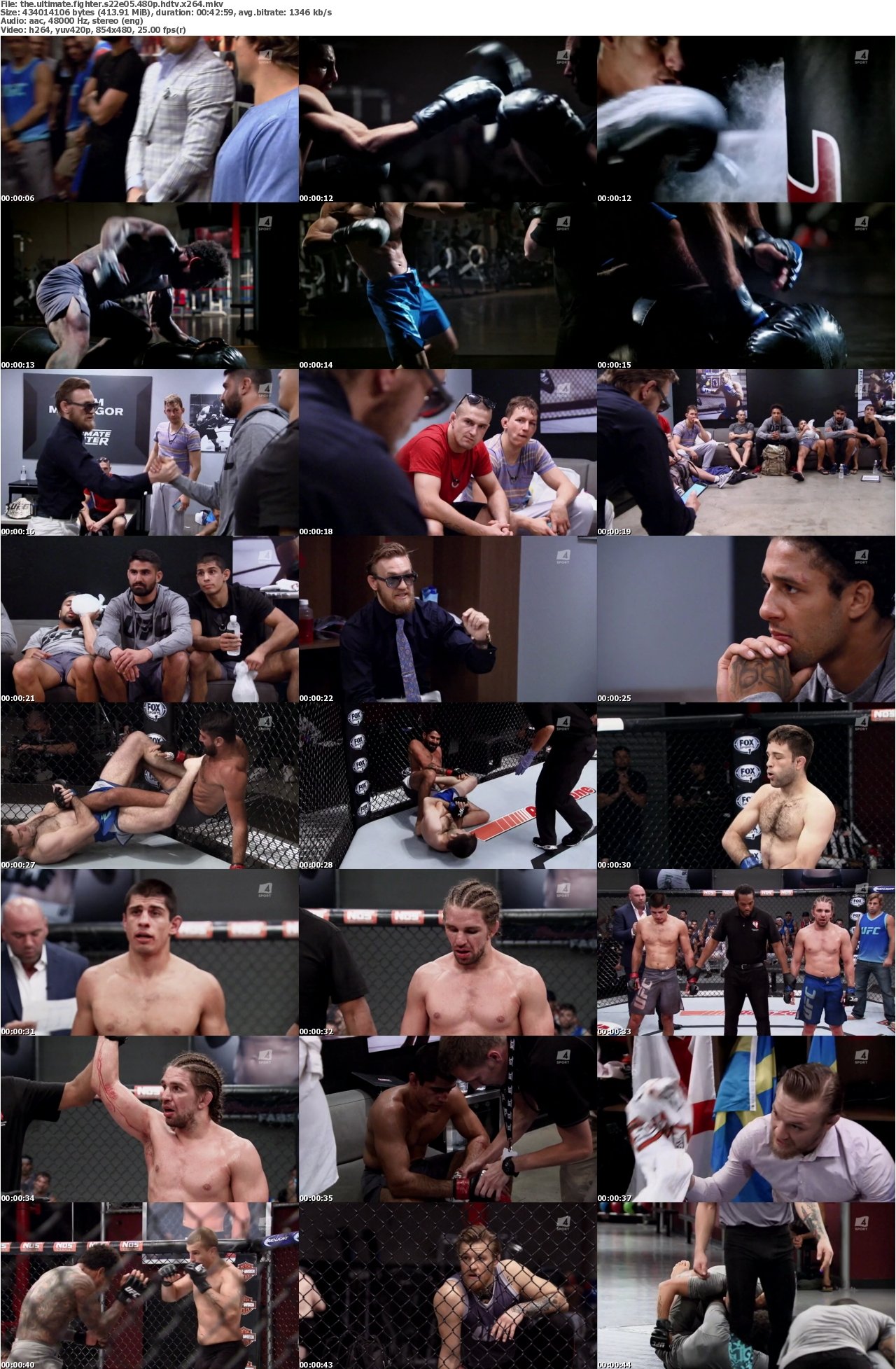 The Ultimate Fighter S22E05 480p HDTV x264