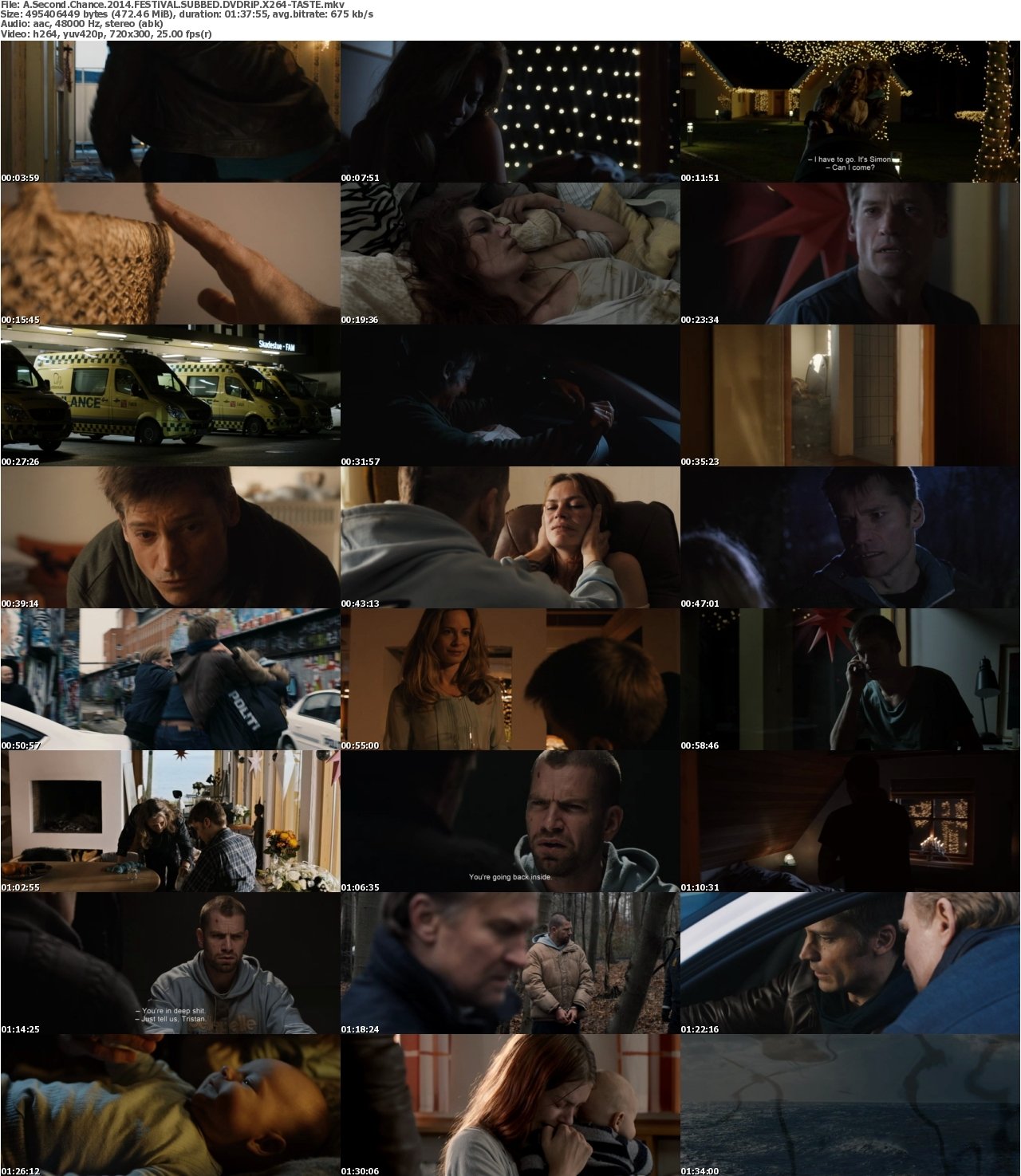 A Second Chance 2014 FESTiVAL SUBBED DVDRiP X264-TASTE