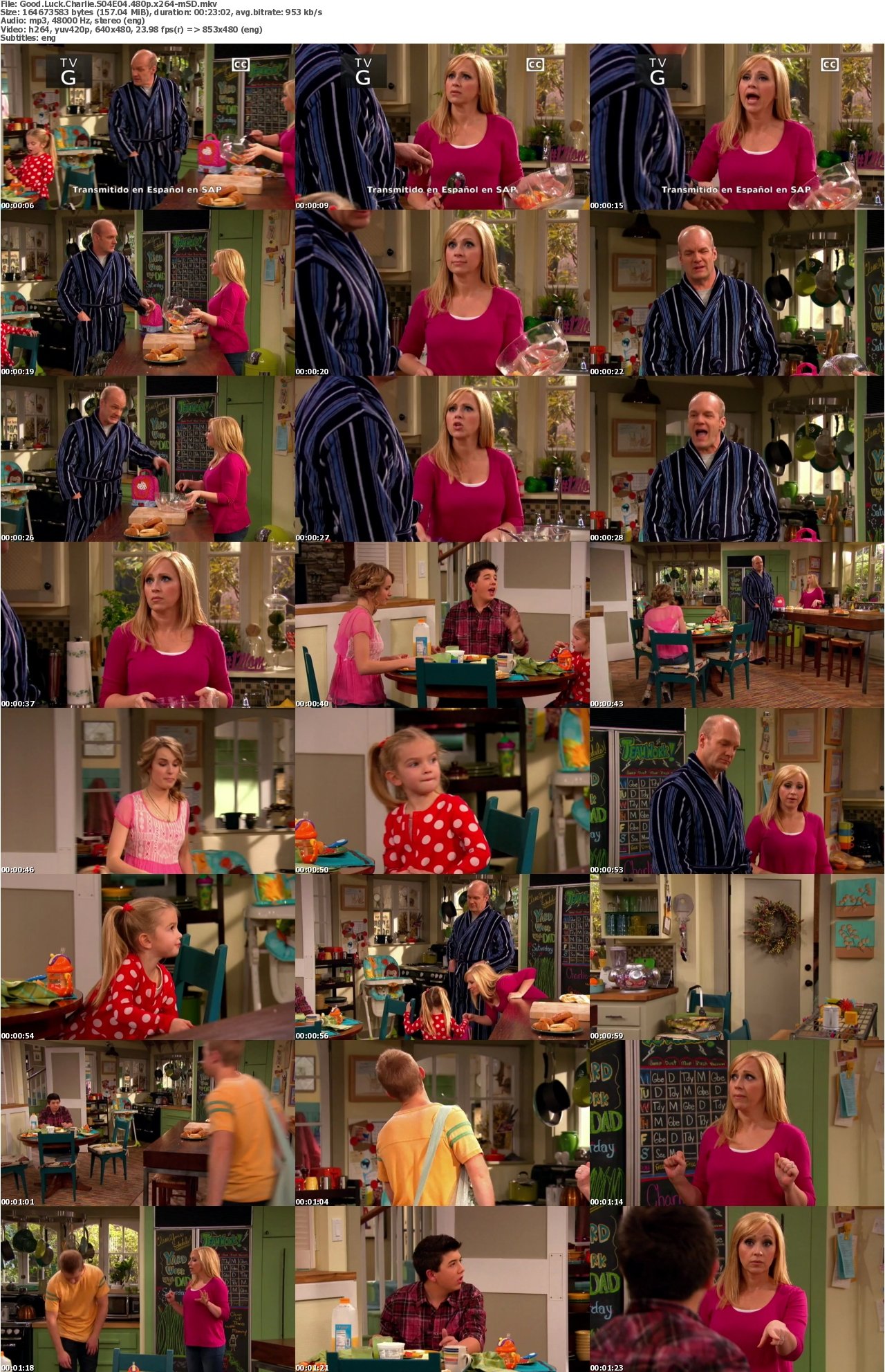 Good Luck Charlie S04E04 480p x264-mSD