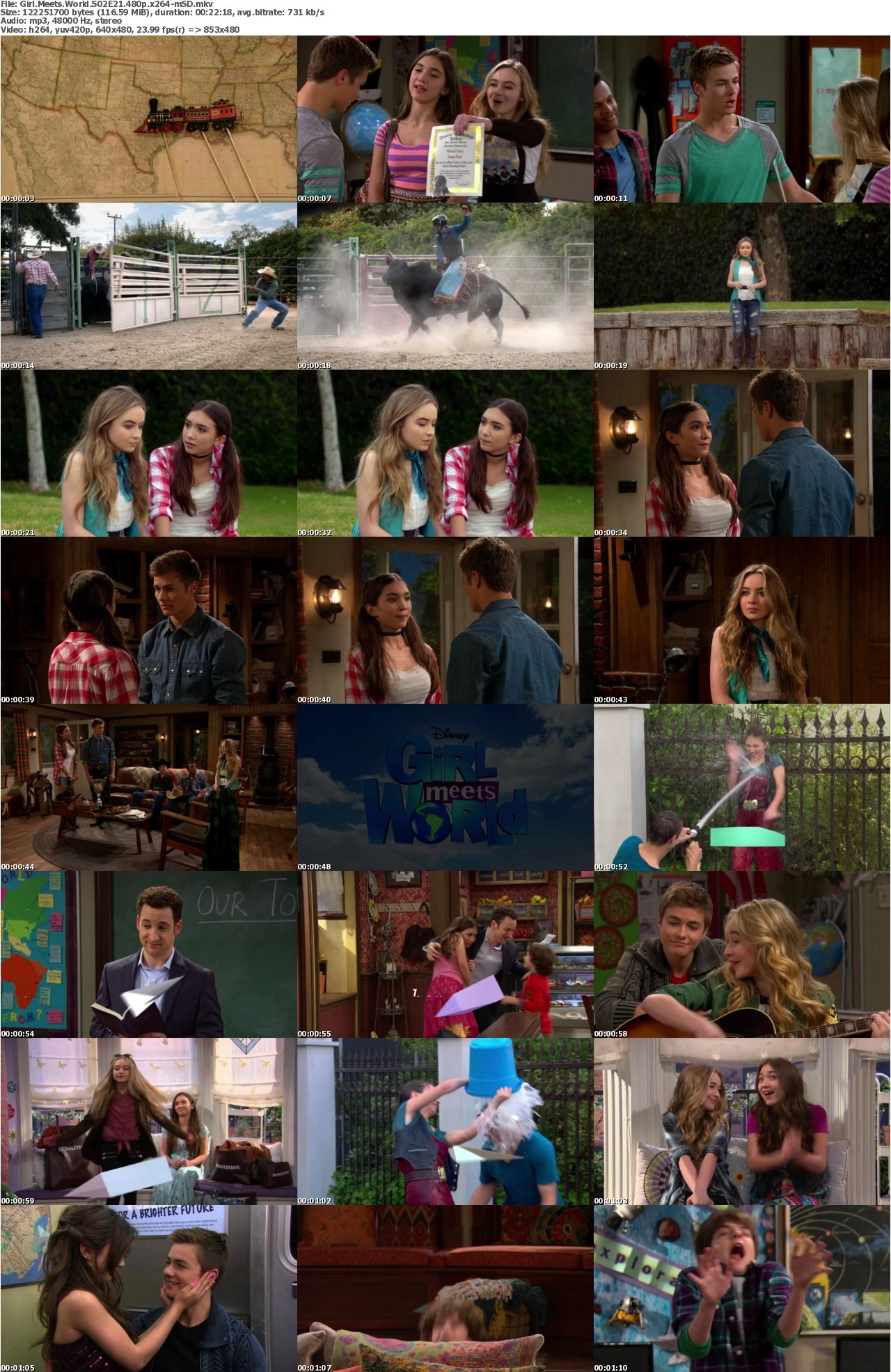 Girl Meets World S02E21 480p x264-mSD