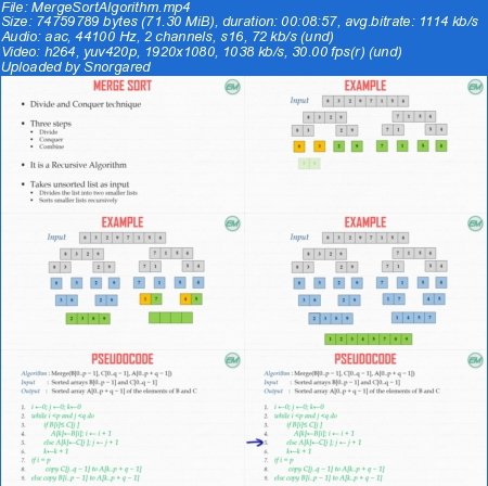 Algorithms in C : Concepts, Examples, Code + Time Complexity 