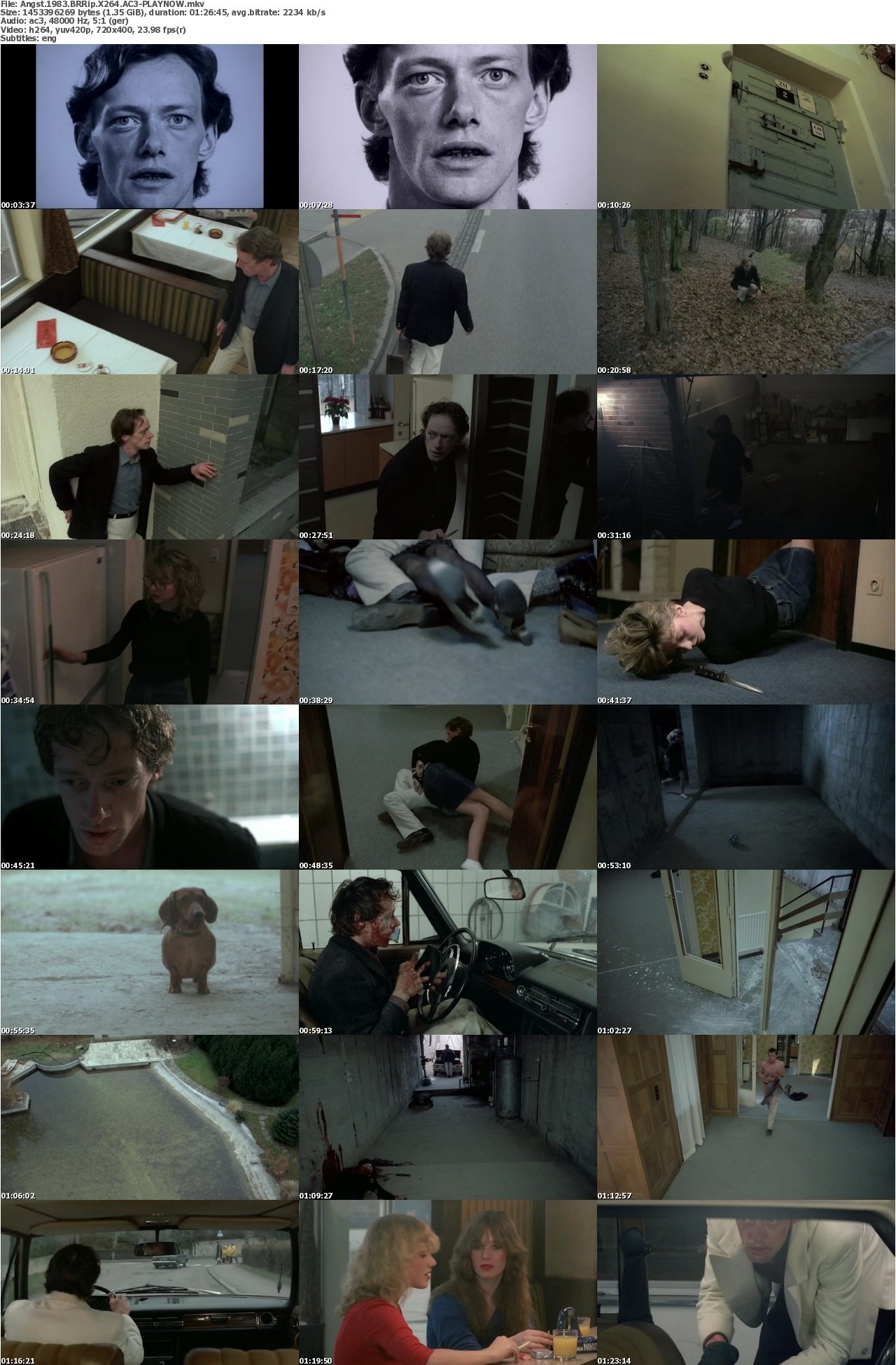 Angst 1983 BRRip X264 AC3-PLAYNOW