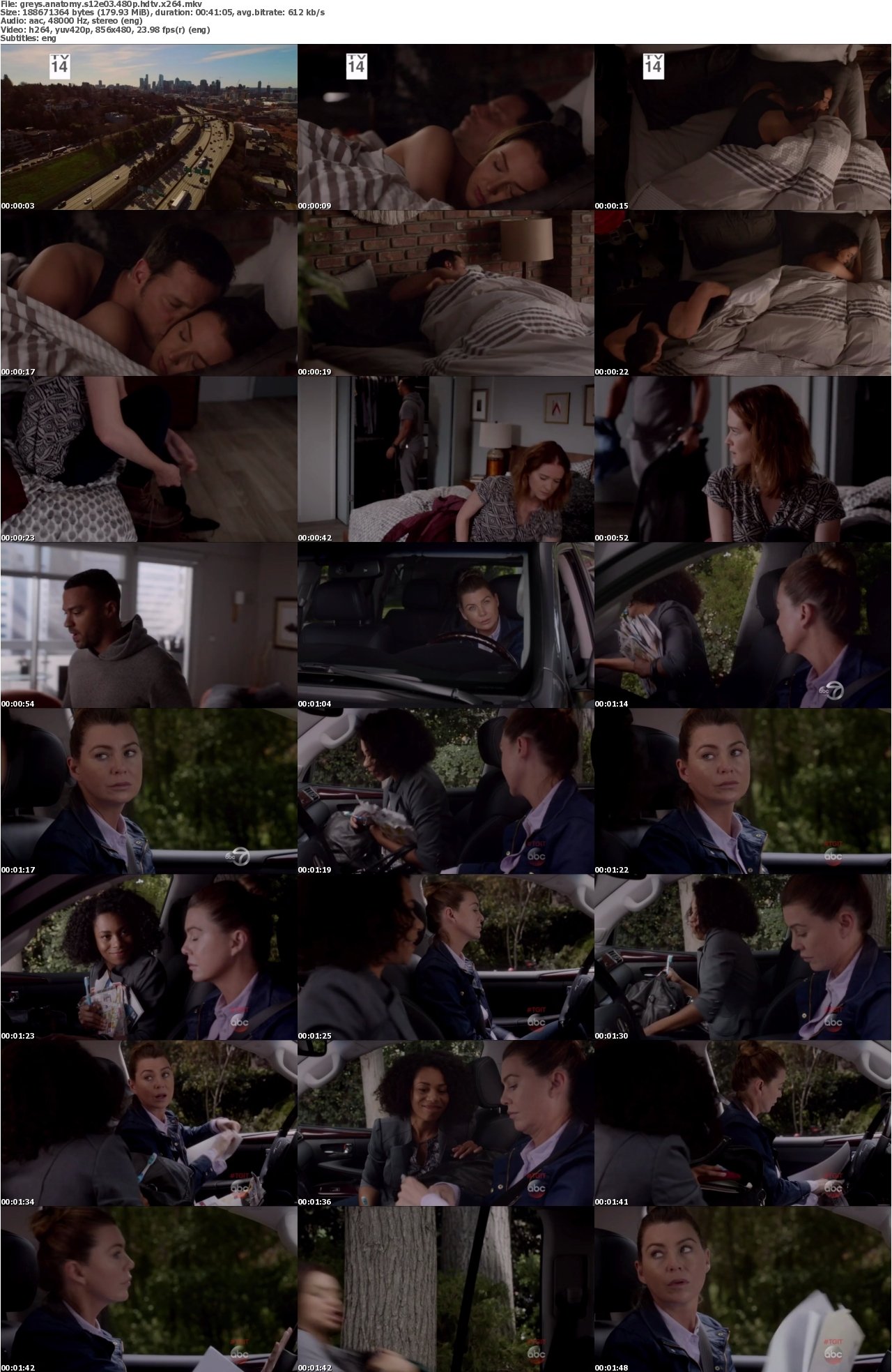 Greys Anatomy S12E03 480p HDTV x264