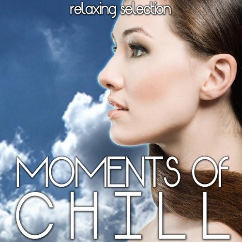 VA - Moments of Chill Relaxing Selection (2015)
