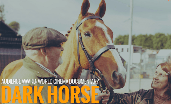 Dark Horse (2015) DVDRip x264-GHOULS