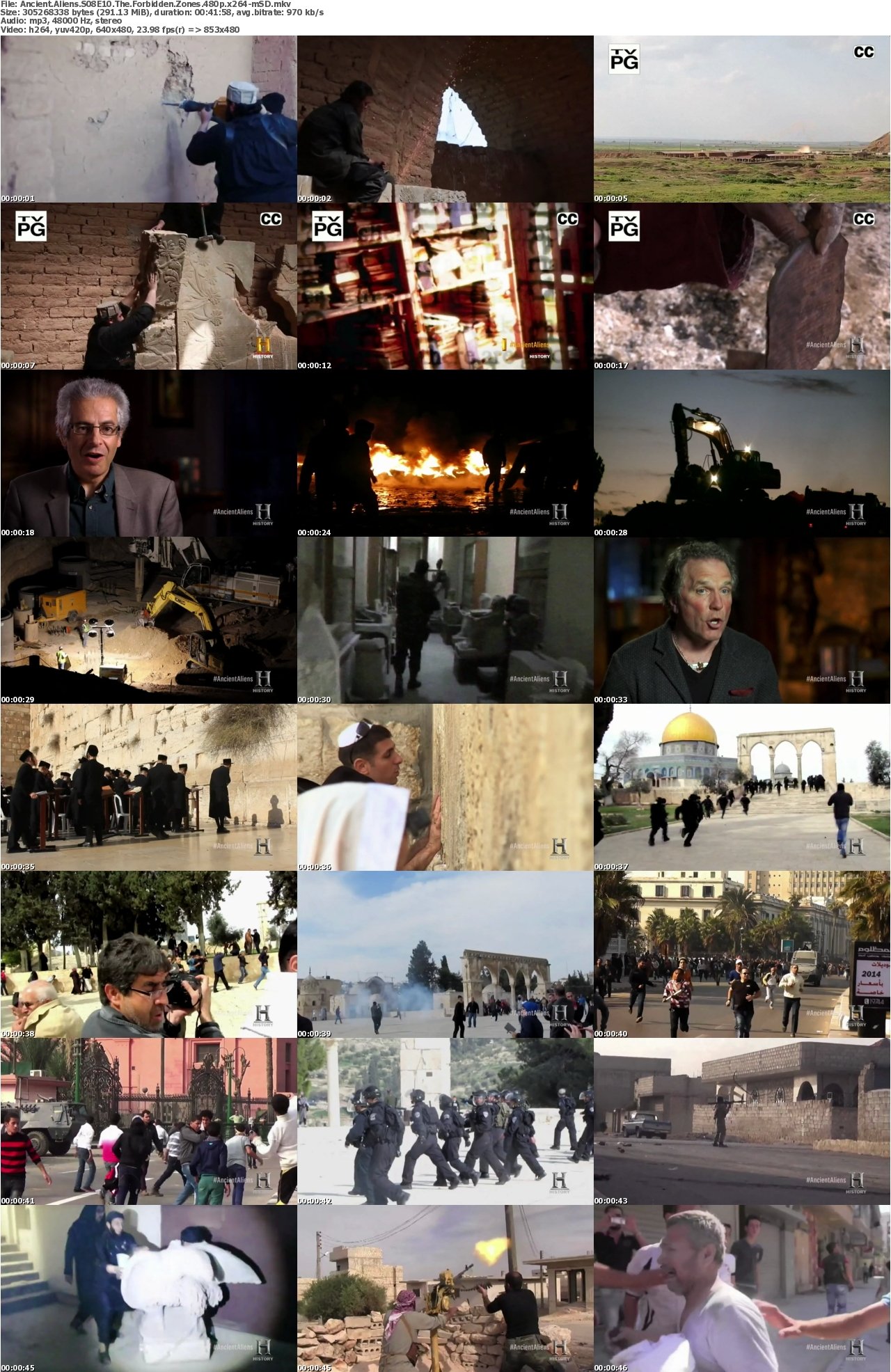 Ancient Aliens S08E10 The Forbidden Zones 480p x264-mSD