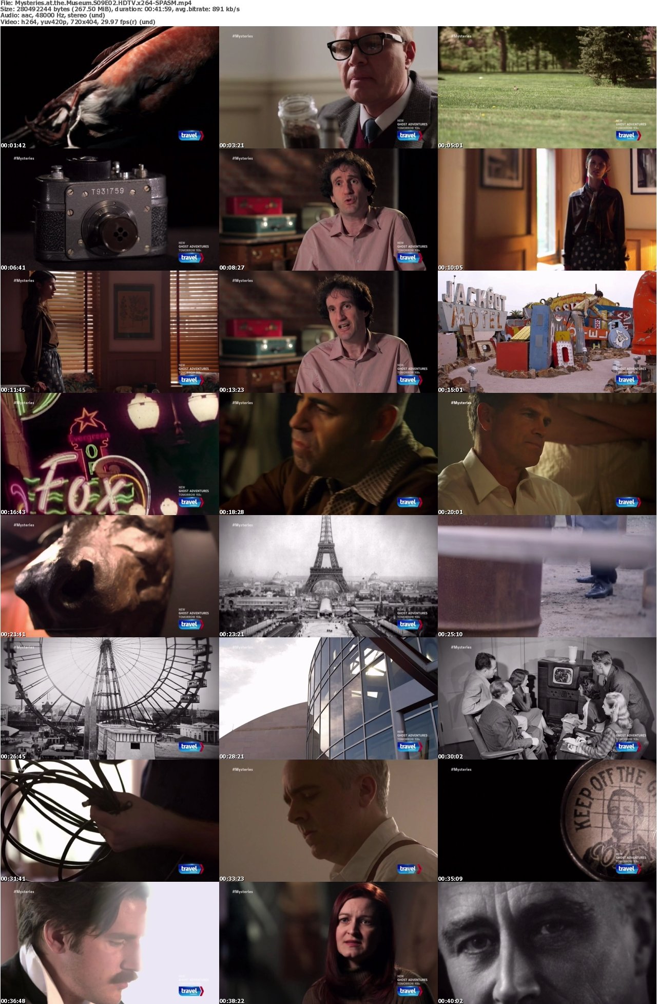 Mysteries at the Museum S09E02 HDTV x264-SPASM