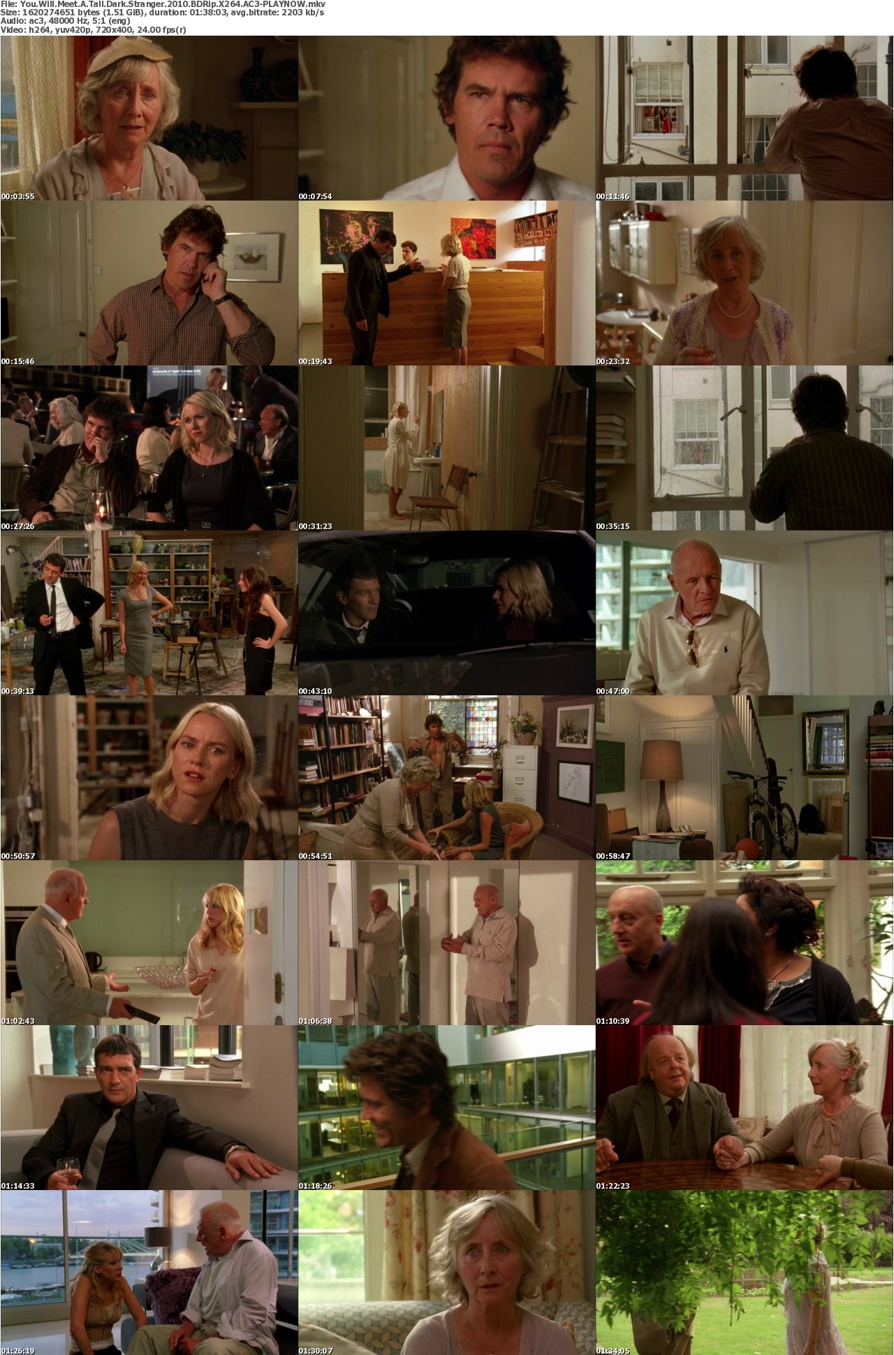 You Will Meet A Tall Dark Stranger 2010 BDRip X264 AC3-PLAYNOW