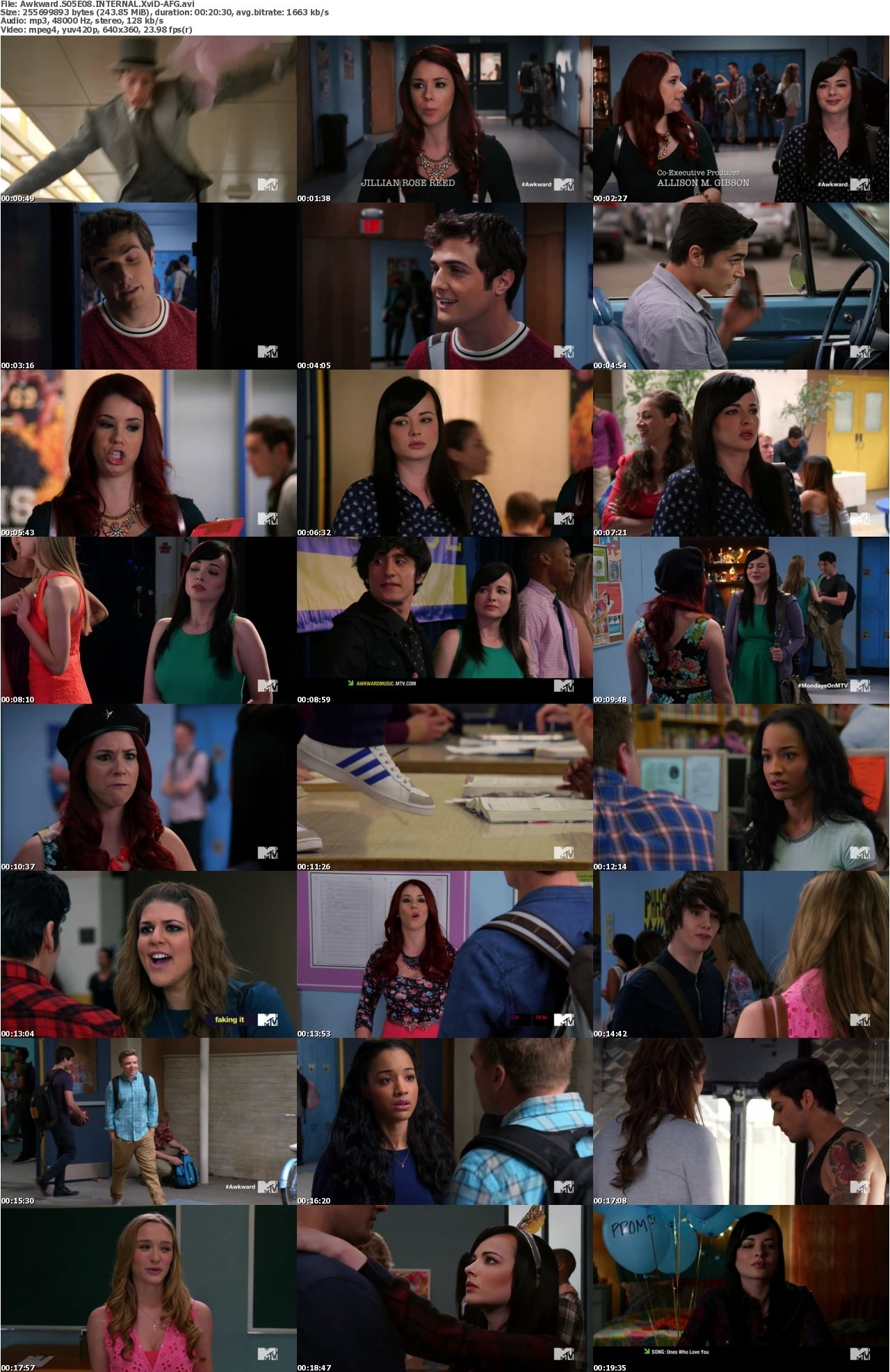 Awkward S05E08 INTERNAL XviD-AFG