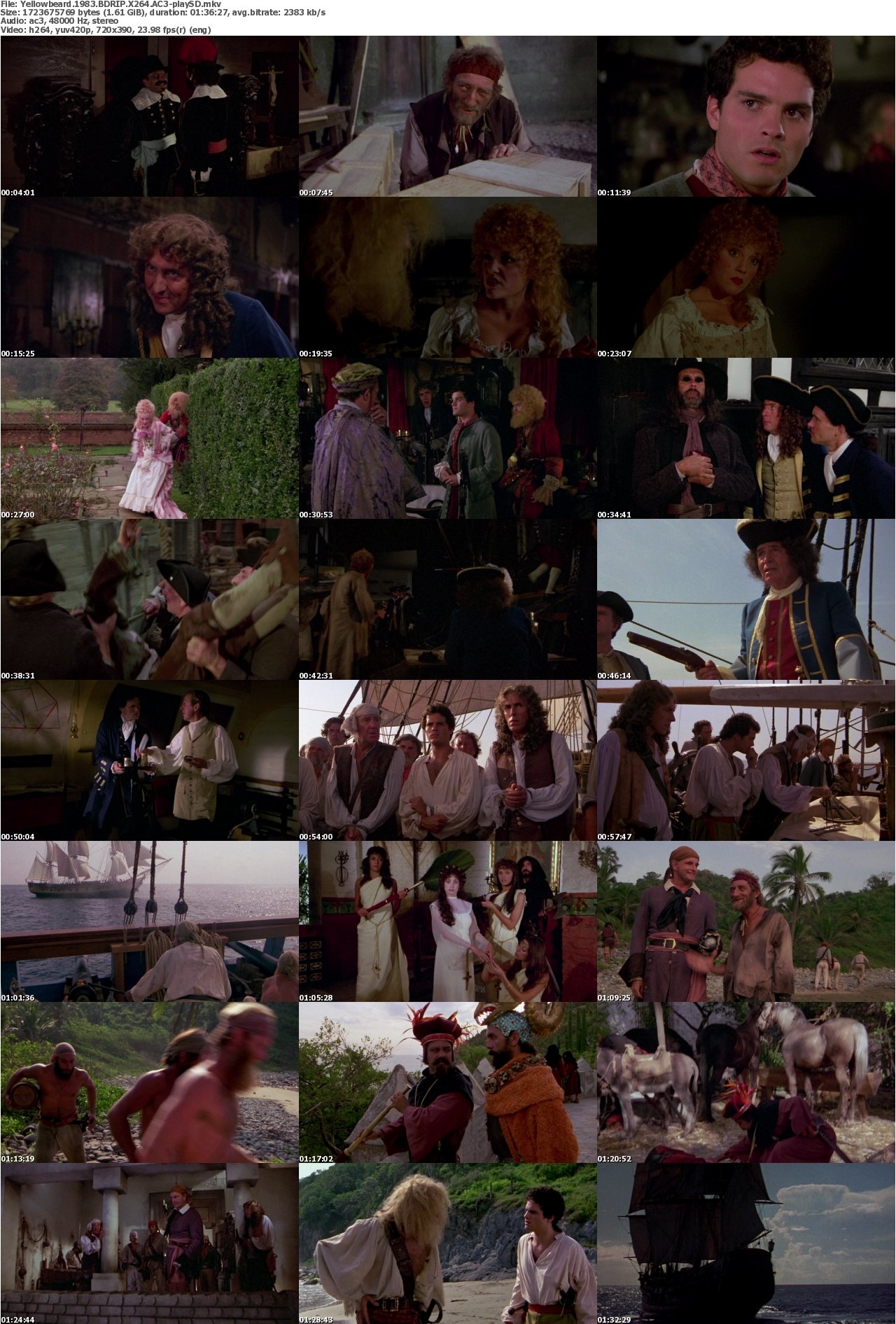 Yellowbeard 1983 BDRIP X264 AC3-playSD