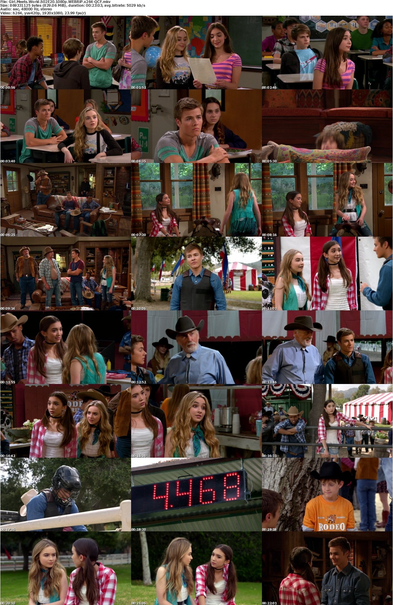Girl Meets World S02E20 1080p WEBRiP x264-QCF
