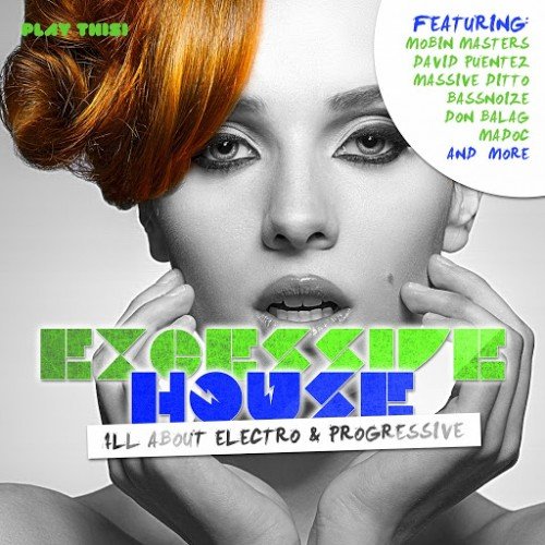 Excessive House - All About Electro &amp; Progressive (2015)