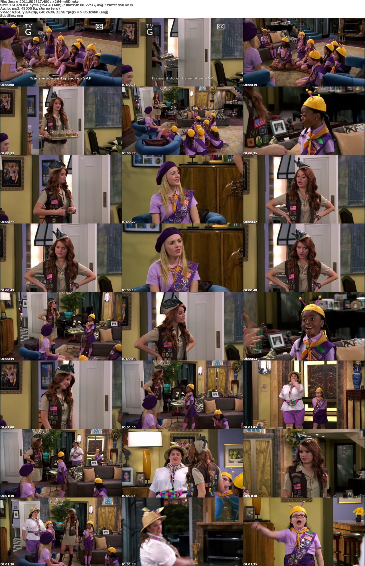 Jessie 2011 S02E17 480p x264-mSD