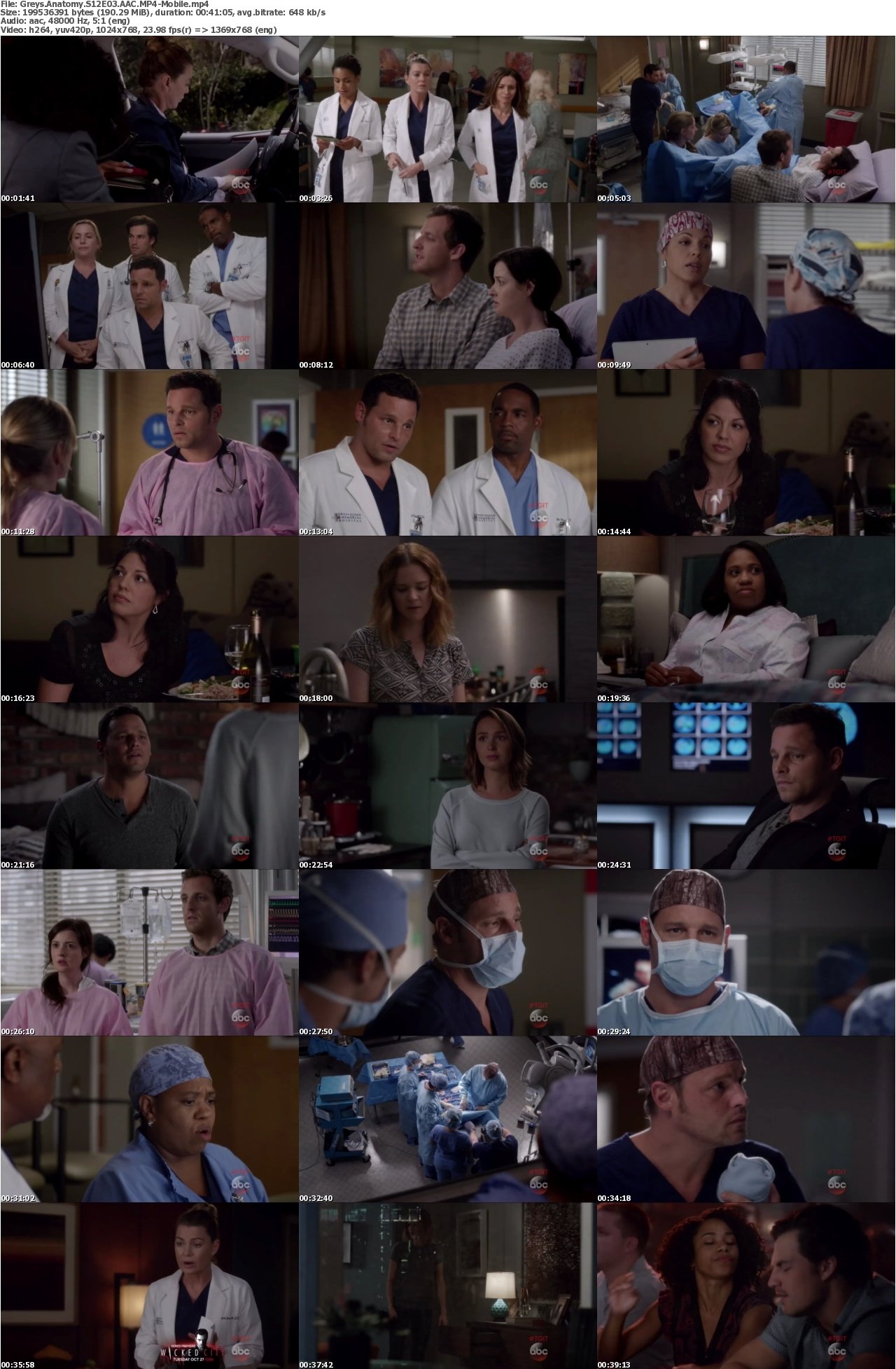 Greys Anatomy S12E03 AAC MP4-Mobile