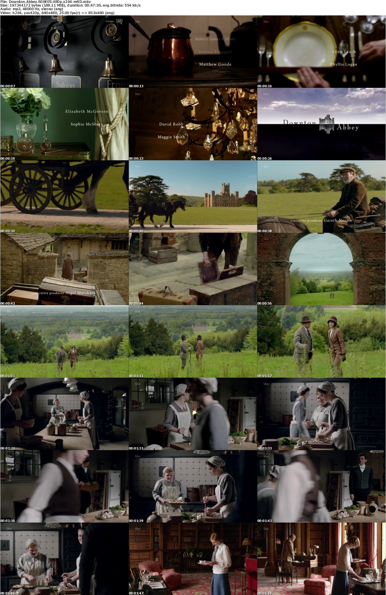 Downton Abbey S06E05 480p x264-mSD