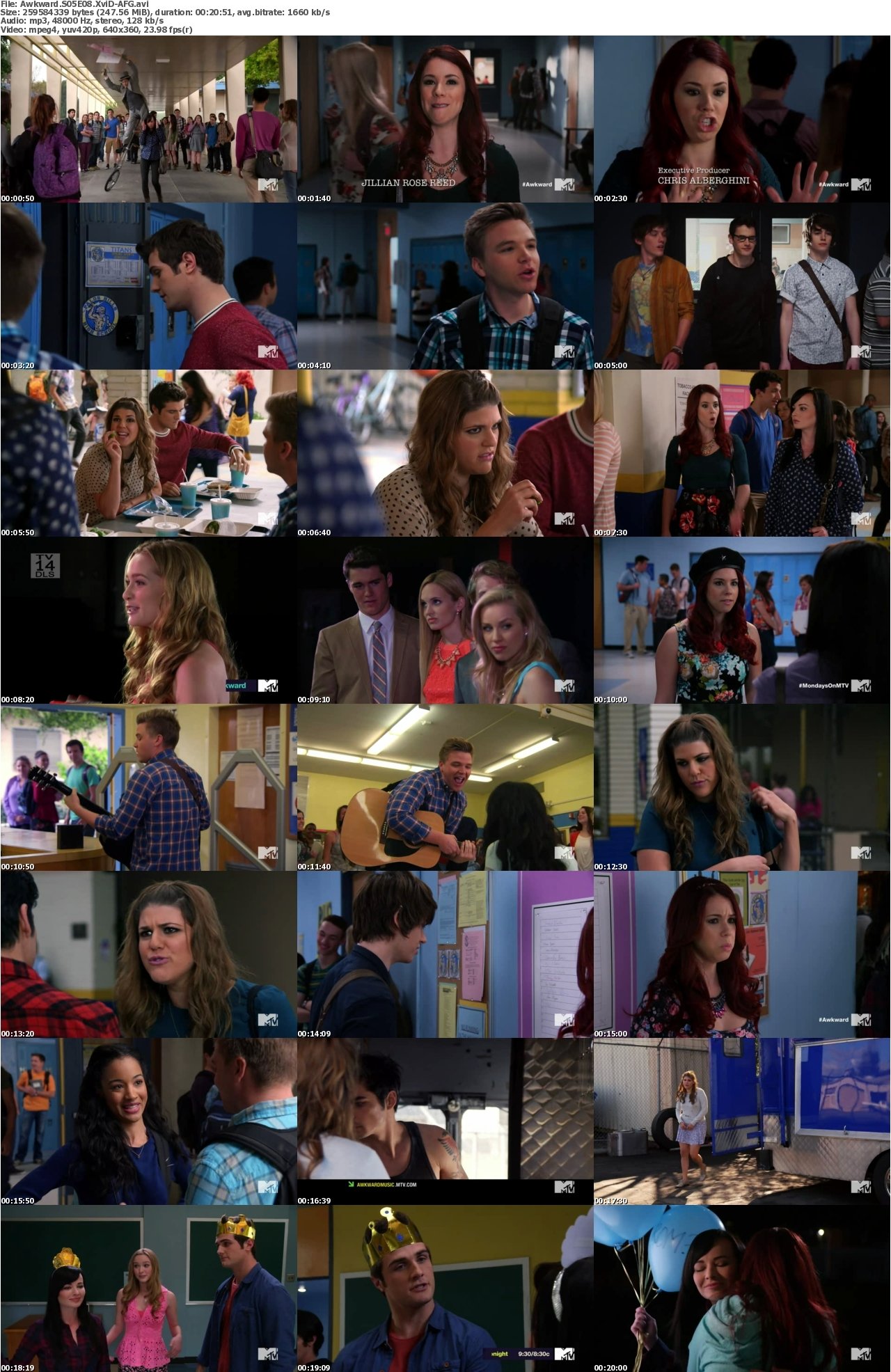 Awkward S05E08 XviD-AFG