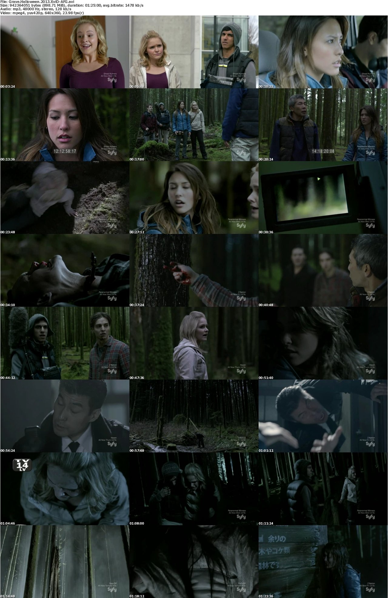 Grave Halloween 2013 XviD-AFG