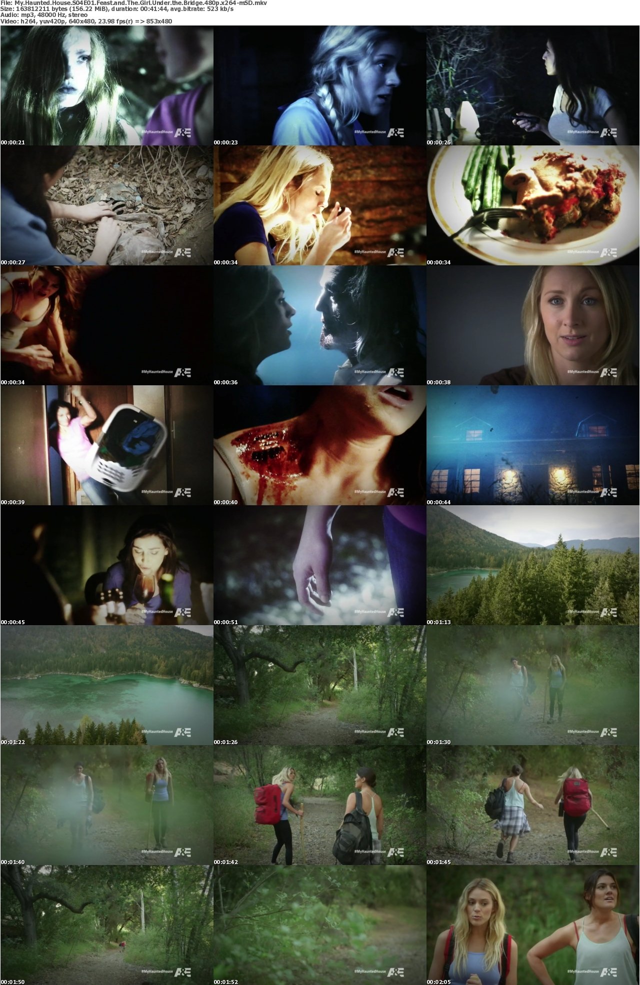 My Haunted House S04E01 Feast and The Girl Under the Bridge 480p x264-mSD