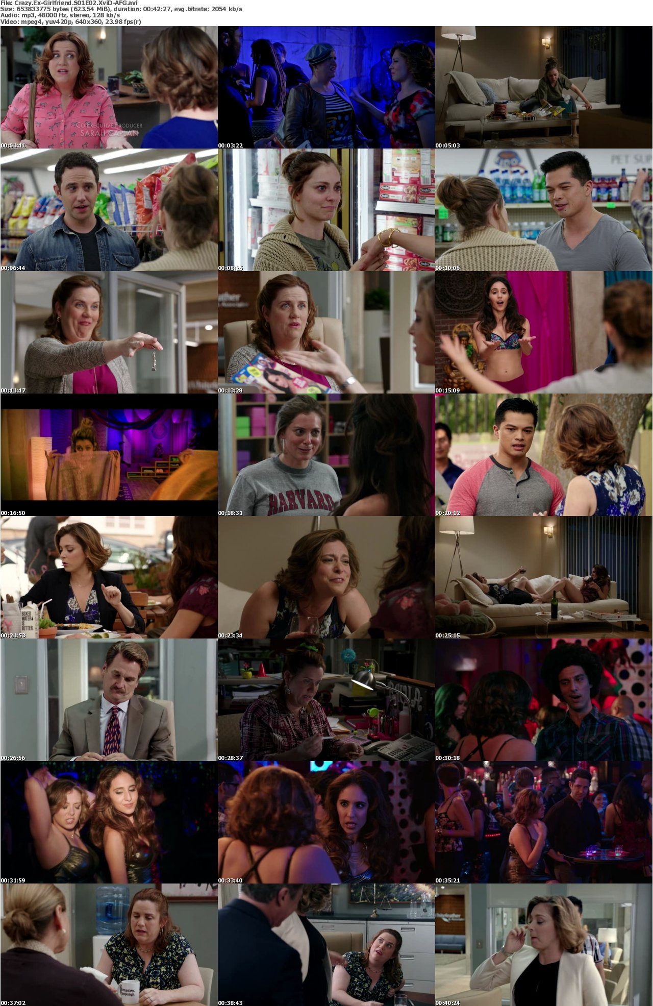 Crazy Ex-Girlfriend S01E02 XviD-AFG