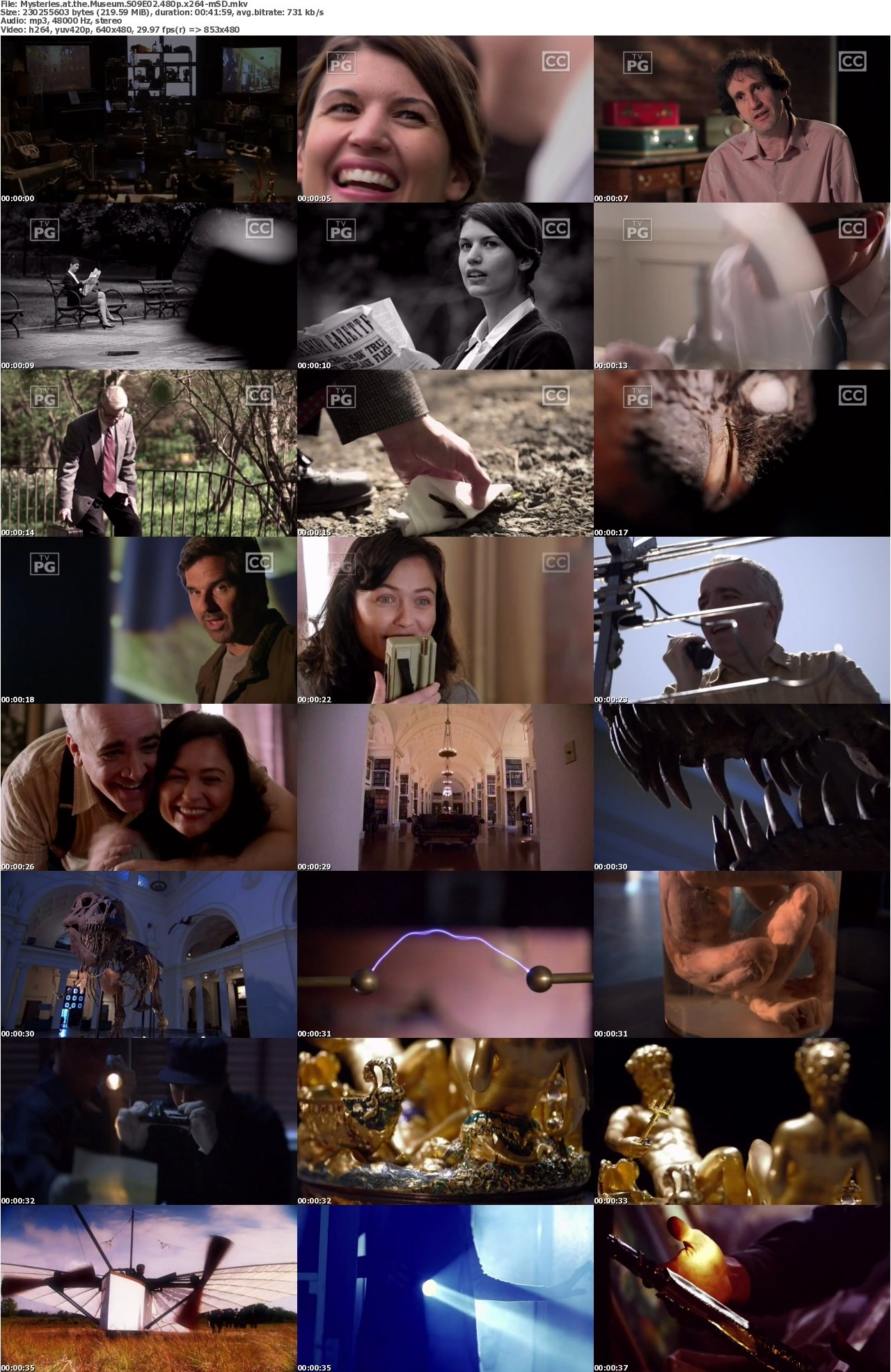 Mysteries at the Museum S09E02 480p x264-mSD