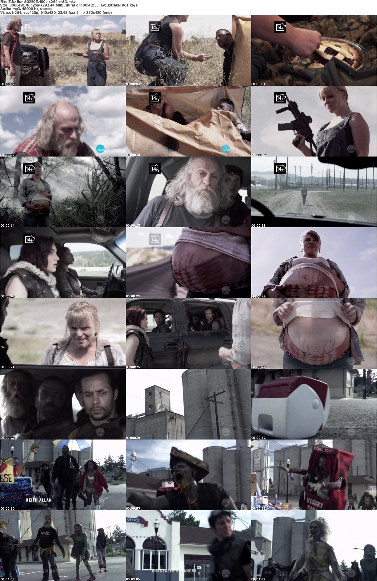 Z Nation S02E05 480p x264-mSD