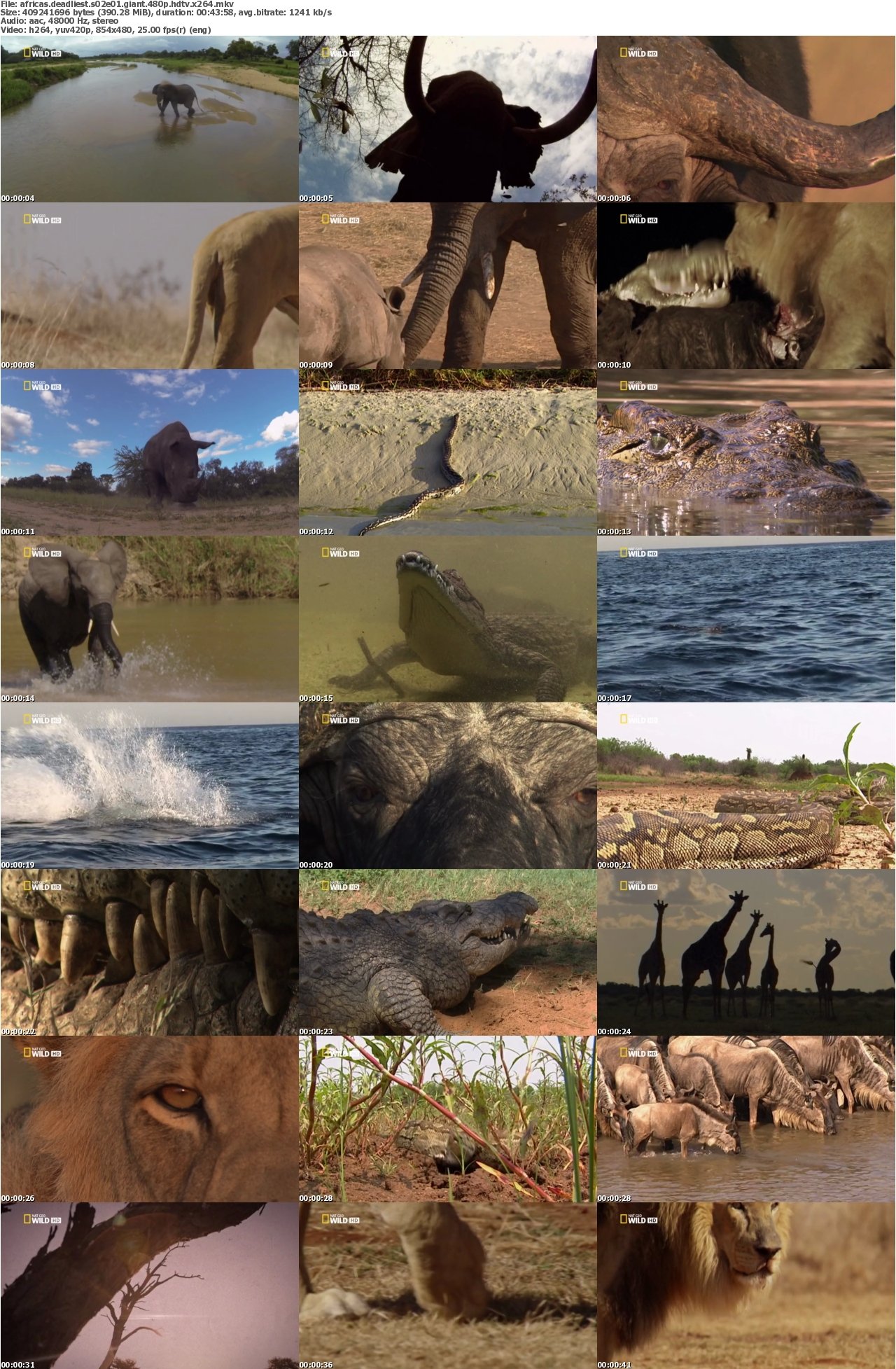 Africas Deadliest S02E01 Giant 480p HDTV x264