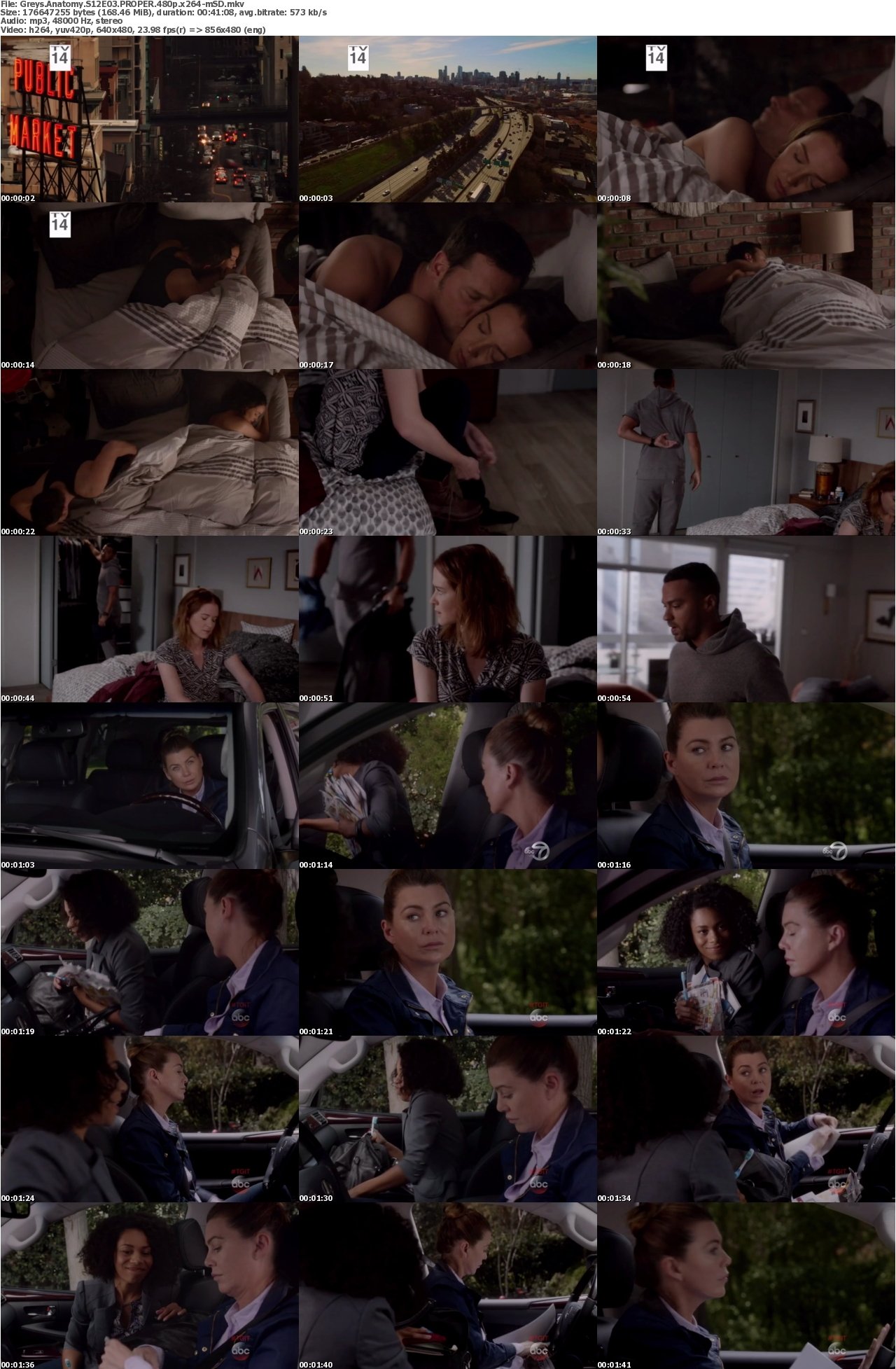 Greys Anatomy S12E03 PROPER 480p x264-mSD