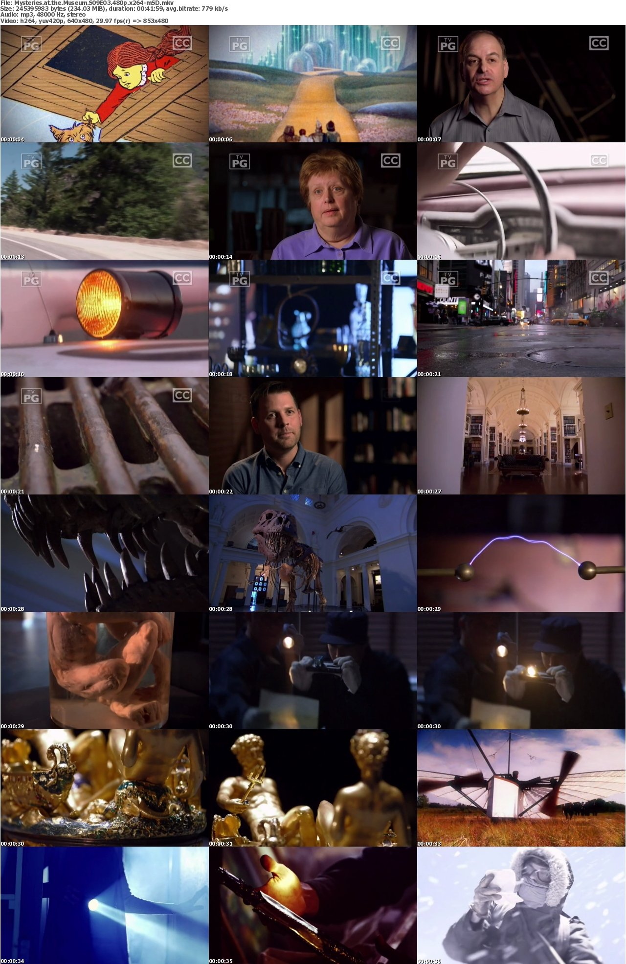 Mysteries at the Museum S09E03 480p x264-mSD