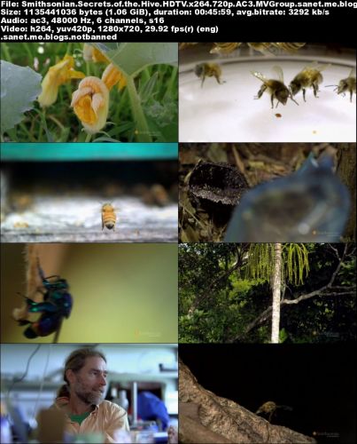 Smithsonian Channel - Secrets of the Hive (2014) 720p HDTV x264-MVGroup