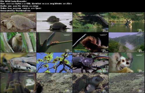 National Geographic Wild - Wild Costa Rica (2015)