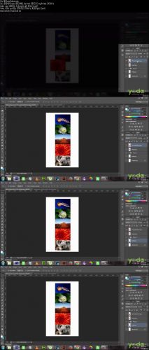 Udemy - Photoshop CS6 for Web Designers