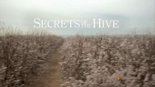 Smithsonian Channel - Secrets of the Hive (2014) 720p HDTV x264-MVGroup