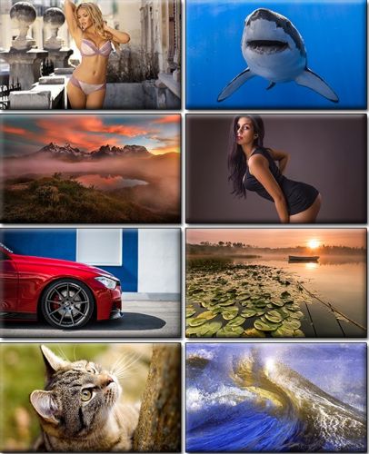 Computer Desktop Wallpapers Collection. Part (1342)