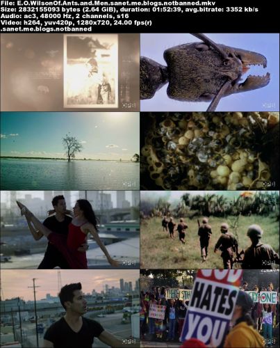 PBS - E.O. Wilson: Of Ants and Men (2015) 720p HDTV x264-DHD