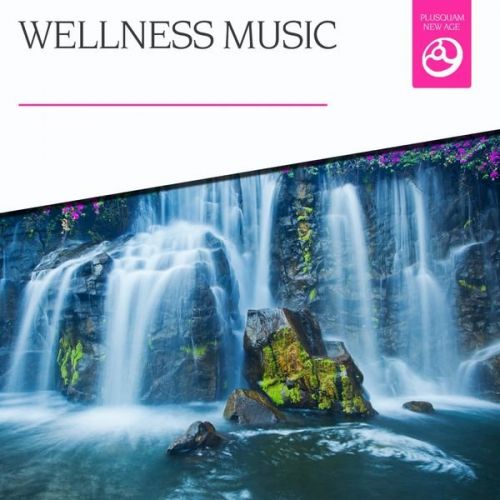 VA - Wellness Music (2015)