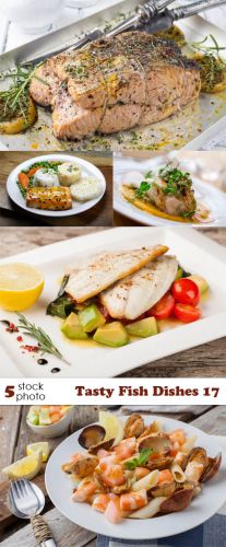 Photos+-+Tasty+Fish+Dishes+17