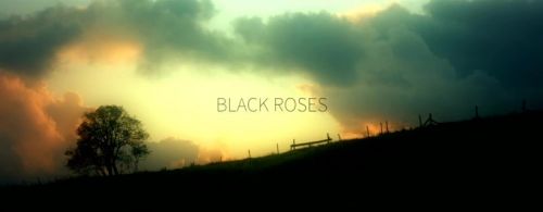 BBC - Black Roses: The Killing of Sophie Lancaster (2015) 720p HDTV x264-MVGroup