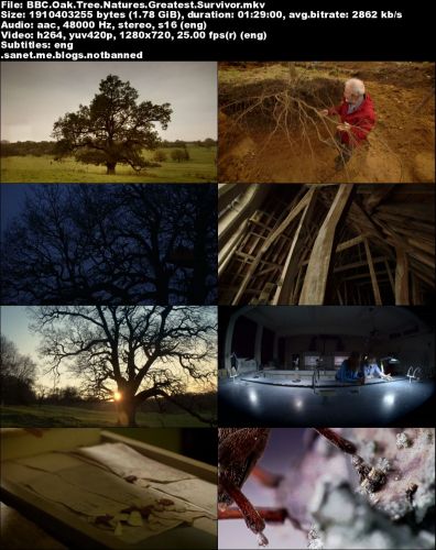 BBC - Oak Tree: Nature's Greatest Survivor (2015) 720p HDTV x264-MVGroup