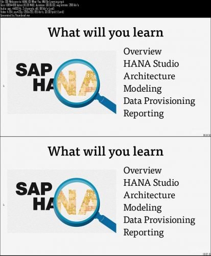 Udemy - SAP HANA 101 - Boost Performance Through In-memory Computing
