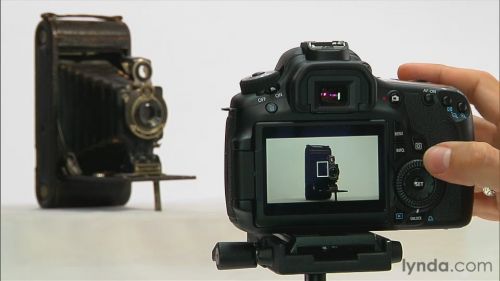 Lynda - Canon Tutorials : Shooting with the Canon 60D