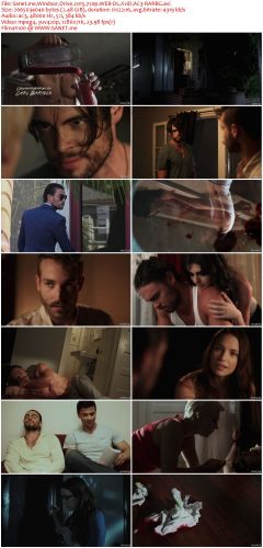 Windsor Drive 2015 720p WEB-DL XviD AC3-RARBG