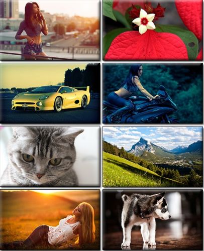 Computer Desktop Wallpapers Collection. Part (1341)