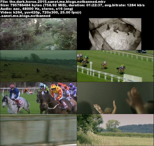 Dark Horse (2015) DVDRip x264-GHOULS