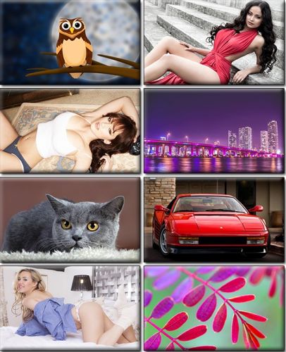 LIFEstyle News MiXture Images. Wallpapers Part (826)